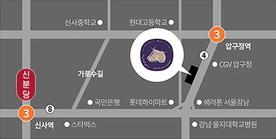 Схема проезда к клинике U&U — улица Каросу-гиль рядом со станциями Апкуджон и Синса