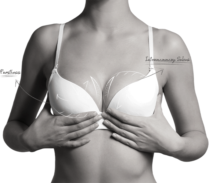 happy breast Обучение подбору бюстгальтера img1
